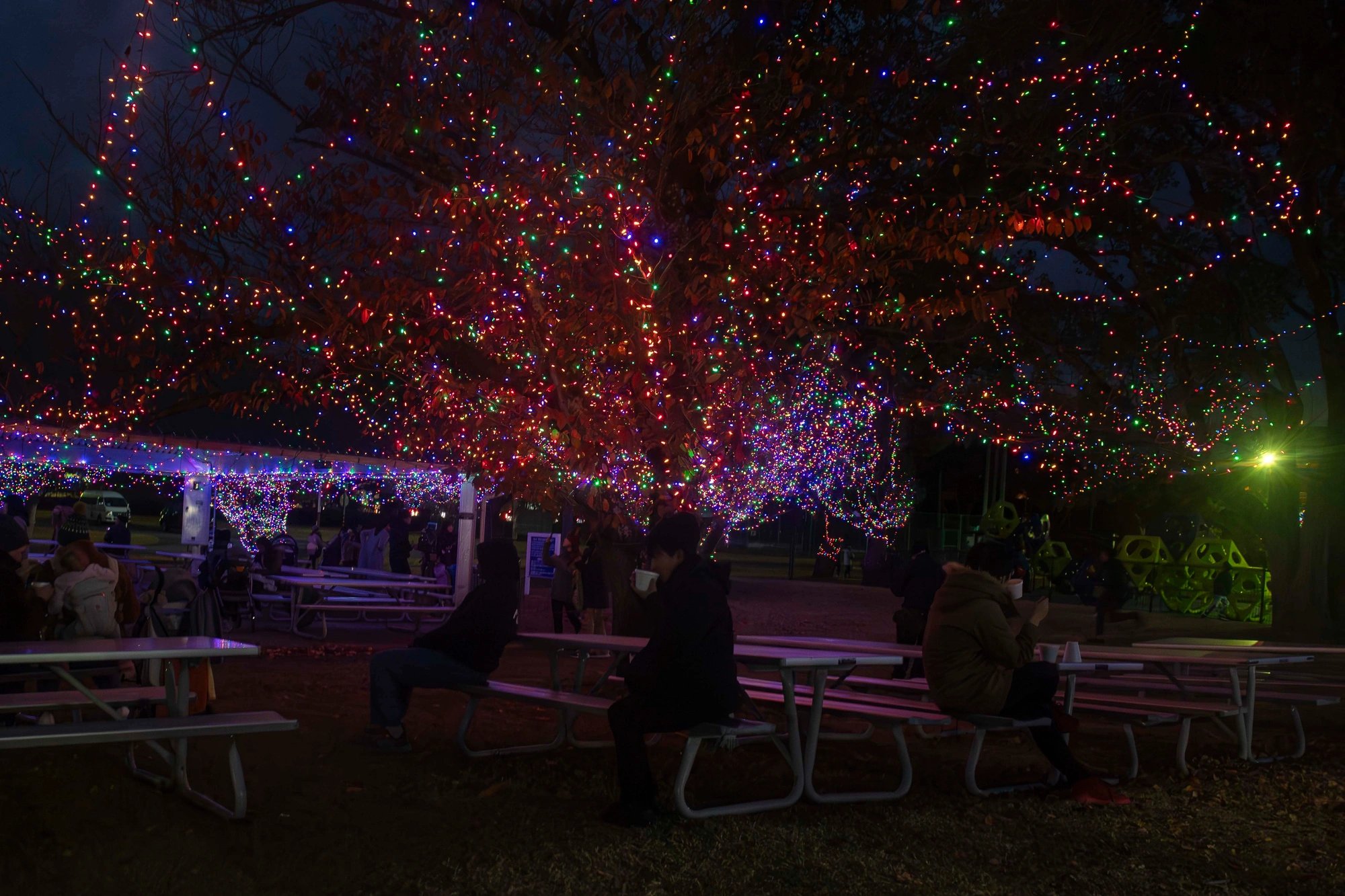 🏞️ 니미츠 파크(Nimitz Park) 이미지 10